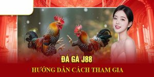 đá gà J88 hướng dẫn tham gia